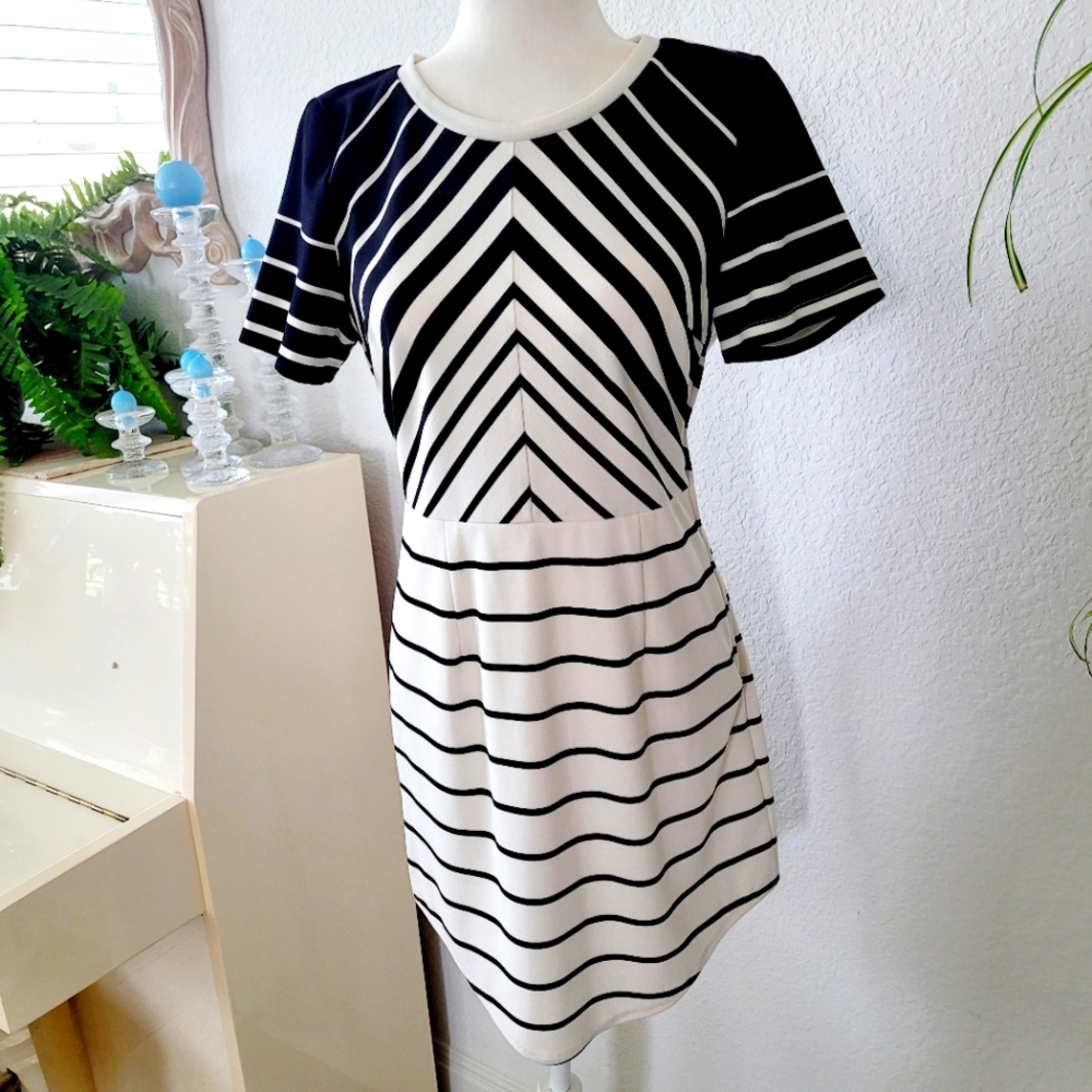 EUC Tea n Cup Mini Dress Size Large Jr